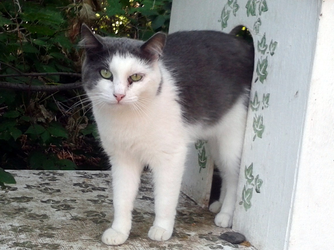 18July13TrinityGraybieGirl